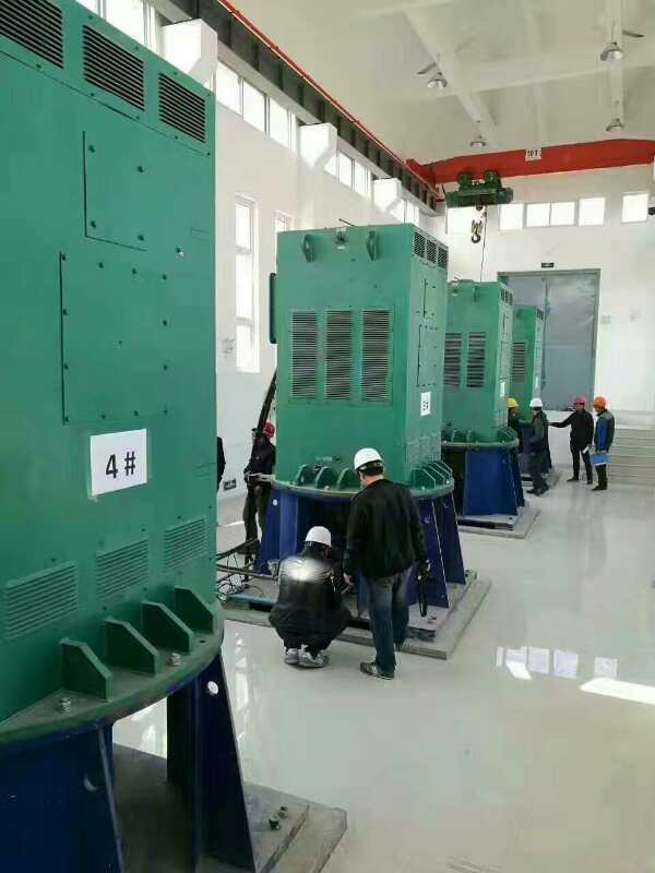 宁江某污水处理厂使用我厂的立式高压电机安装现场生产厂家